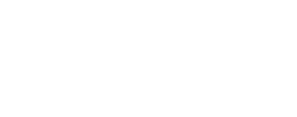 دقة الحلول المتكاملة